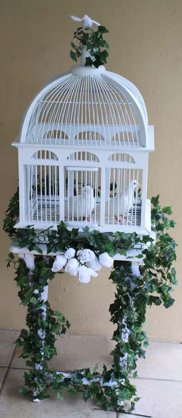 Wedding dove display cage