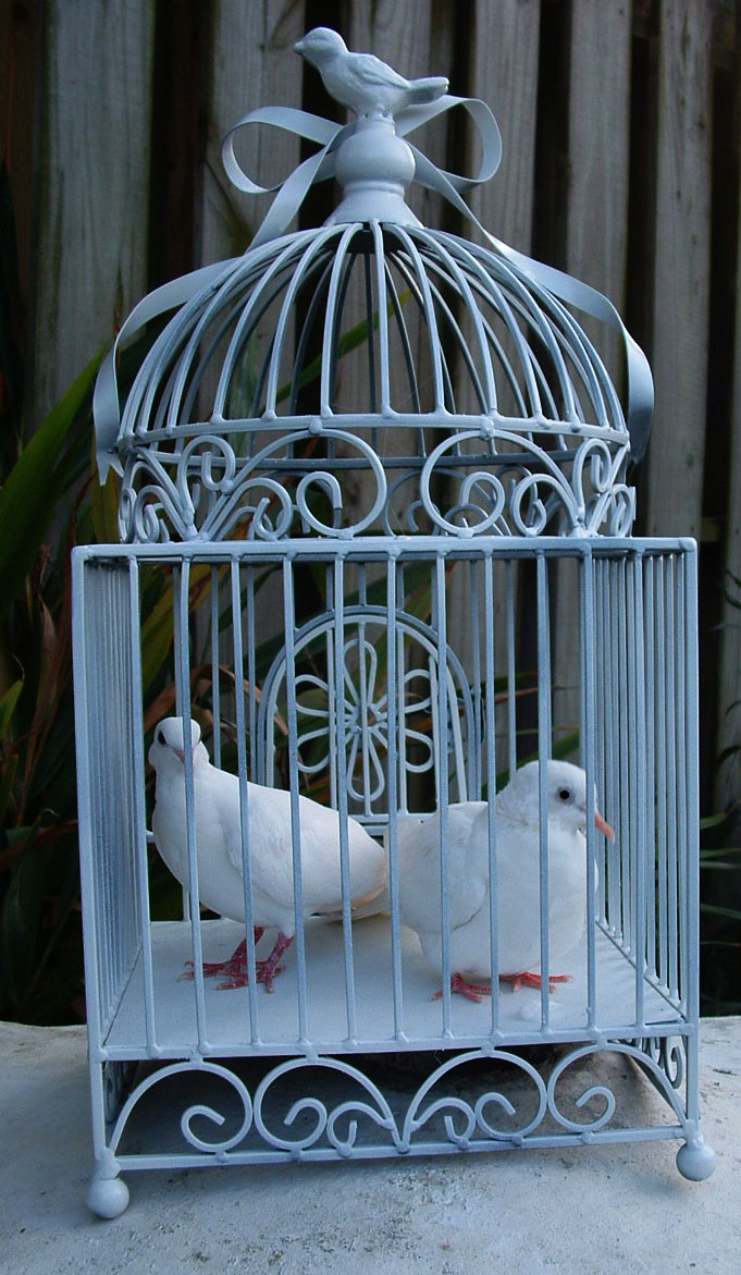 large display cage