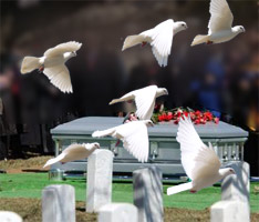 Dove Release at Funeral