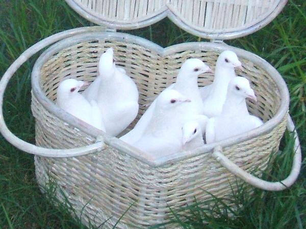 Doves in a Basket Doves in a Basket